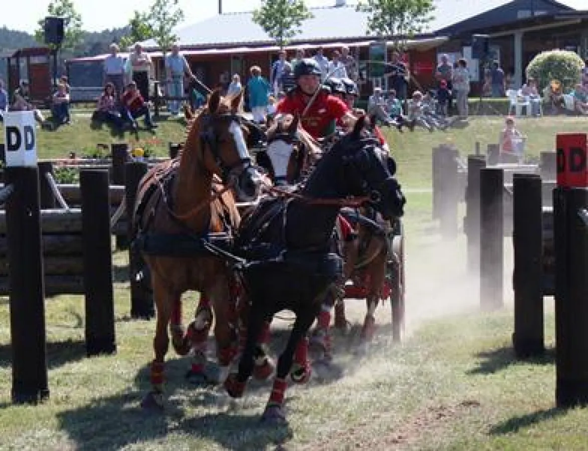 Rasante Fahrt durch das Baumstammhindernis