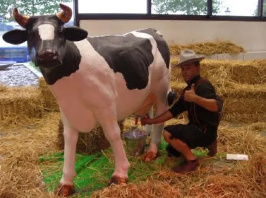 Miet24 bringt „Die Alm“ auf Ihr Fest Bild: Miet24 bringt „Die Alm“ auf Ihr Fest