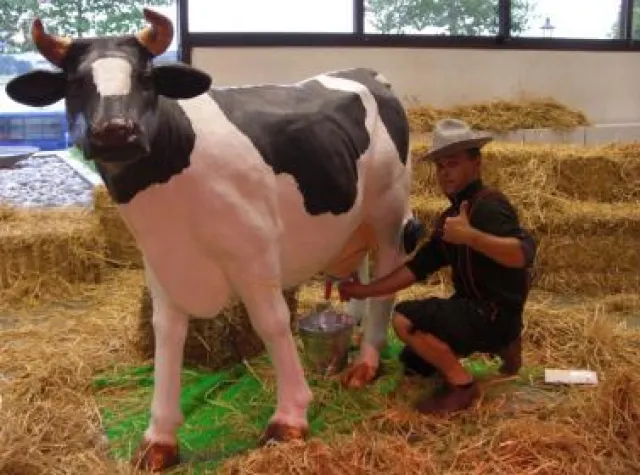 Bild: Miet24 bringt „Die Alm“ auf Ihr Fest