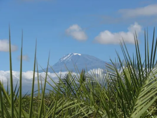 Ein deutscher Reiseveranstalter für Kilimanjaro-Besteigungen, Safaris und Badeurlaube in Tansania Bild: Ein deutscher Reiseveranstalter für Kilimanjaro-Besteigungen, Safaris und Badeurlaube in Tansania