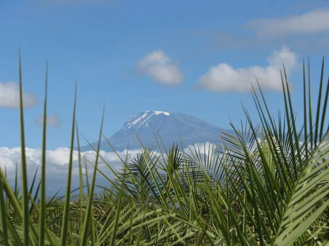 Bild: Ein deutscher Reiseveranstalter für Kilimanjaro-Besteigungen, Safaris und Badeurlaube in Tansania
