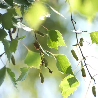 Bild: 24.11. + 01.12. 2009, Frankfurt, Grundlagen der Digitalfotografie