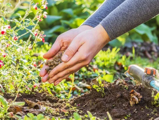 Bild: Biodünger mit Langzeitwirkung schafft bessere Erträge