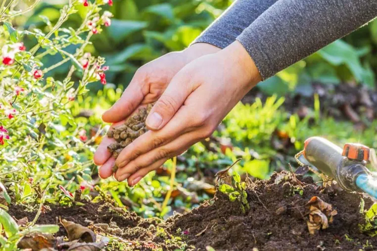 Bild: Biodünger mit Langzeitwirkung schafft bessere Erträge
