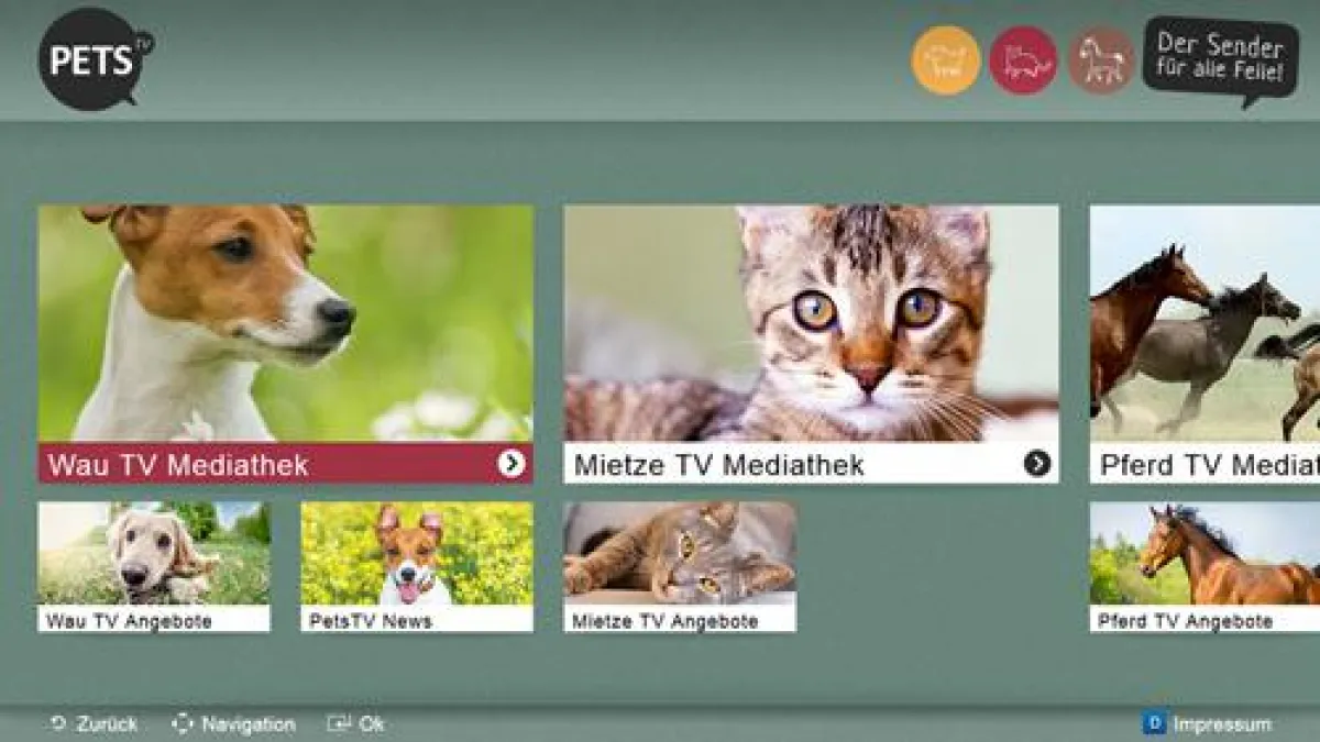 PetsTV - Startseite der Smart TV App