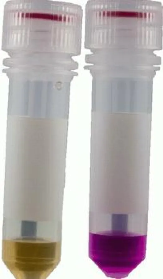 preOx-HUT Rapid Liquid Urease Test