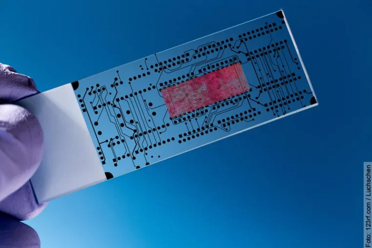 Bild: Biochips ersetzen Tierversuche