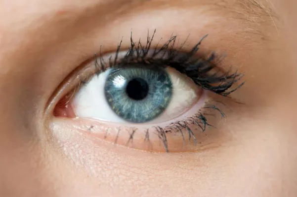 Bild: Augendiagnose: Schon frühzeitig Krankheiten erkennen und vorbeugen