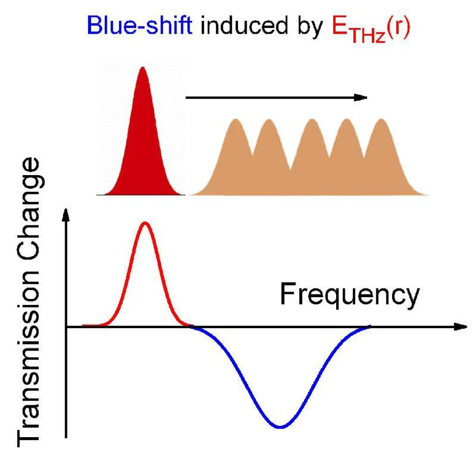 Blauverschiebung der soft mode hervorgerufen durch das elektrische Feld des THz-Impulses in einem Aspirinkristall (MBI Berlin)