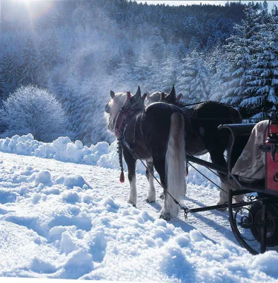 Bild: Wandern im neuen Nationalpark: Das pure Schwarzwaldvergnügen