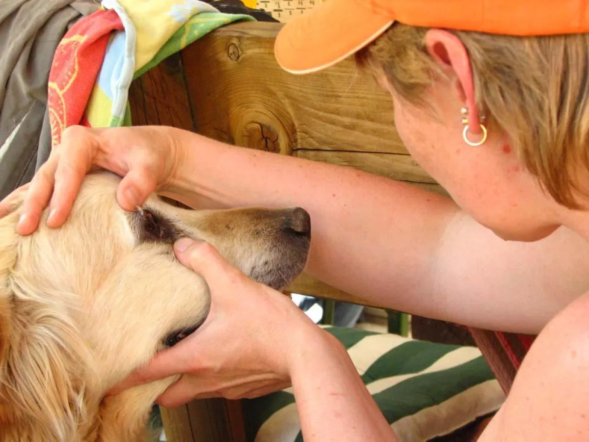 Praktikum Tierhomöopathie