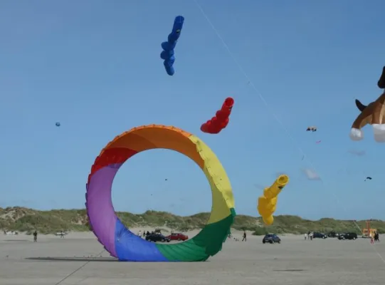 26. Internationales Drachenfestival auf Fanø vom 17.–20. Juni 2010 Bild: 26. Internationales Drachenfestival auf Fanø vom 17.–20. Juni 2010