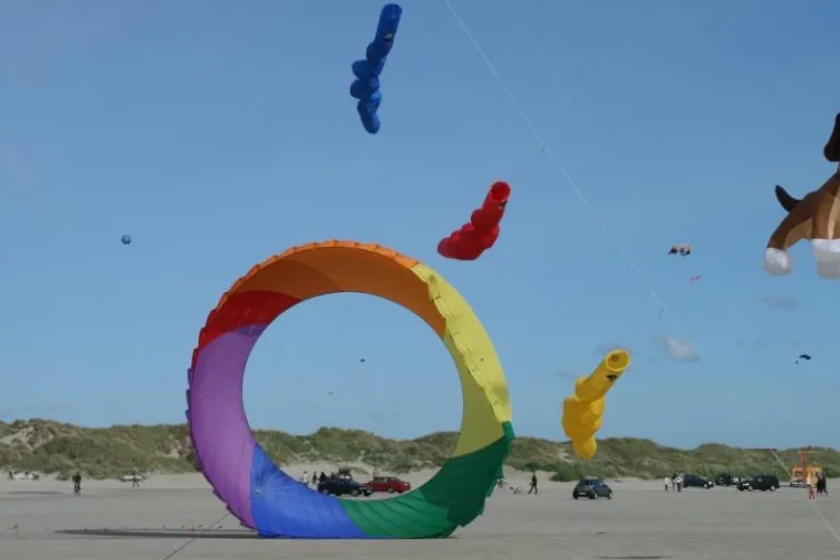 Bild: 26. Internationales Drachenfestival auf Fanø vom 17.–20. Juni 2010