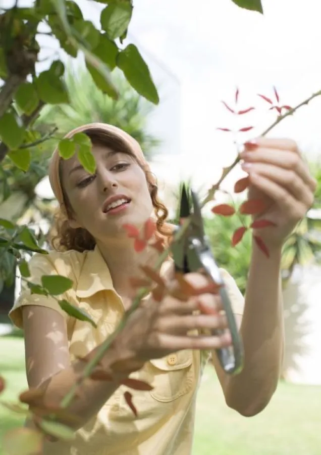 Im Garten, Copyright by Novartis Consumer Health GmbH