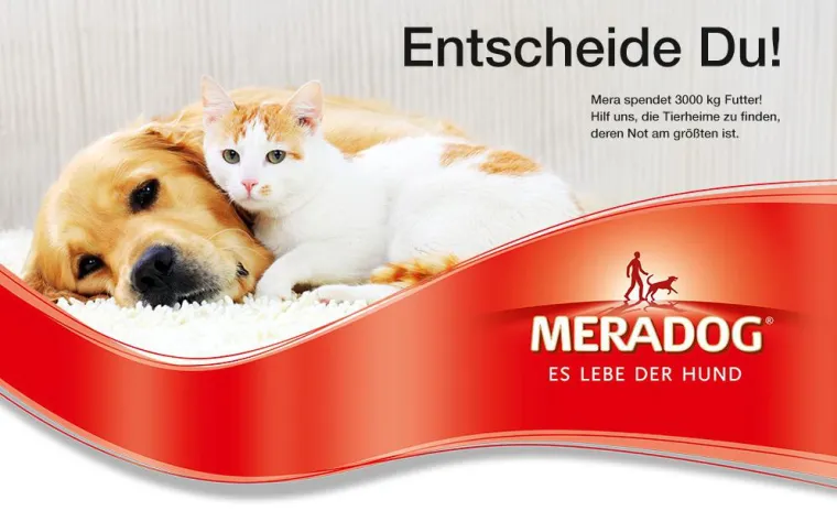 Bild: Auch in diesem Sommer gibt es die große Meradog Tierheim-Spendenaktion im Web