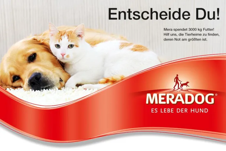 Bild: Auch in diesem Sommer gibt es die große Meradog Tierheim-Spendenaktion im Web