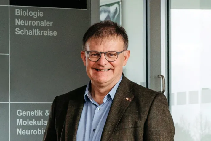 Bild: Wie das Gehirn den Raum erobert