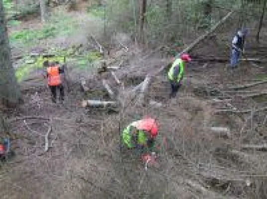 Bild: Geburtstagsgäste bringen BUND Projekt erfolgreich zum Abschluss