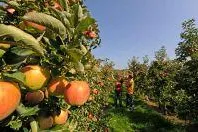 Bild: Thurgau Bodensee: Spazieren, feiern, entspannen