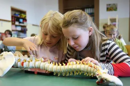 Bild: Docdata hält Kindern den Rücken frei