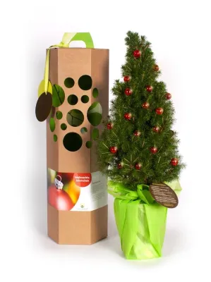 Bild: Weihnachtsgruss mit Bäumchen