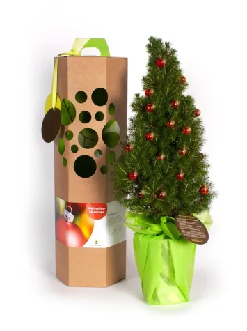 Bild: Weihnachtsgruss mit Bäumchen