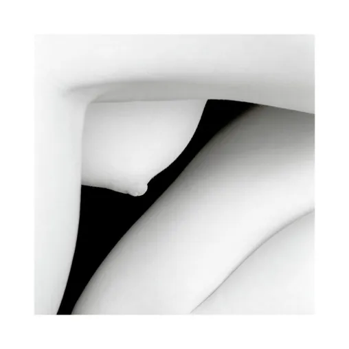 Bild: IMMAGIS Fine Art Photography zeigt ERIC MARRIAN - NUDE Carré Blanc · Javel, 14. März – 13. April 2013