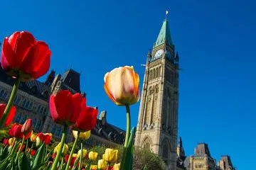 Bild: Ontario: Neuigkeiten & Events 2017