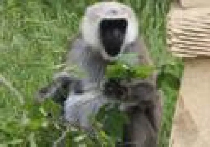 Bild: Älter als manch Literatur erlaubt