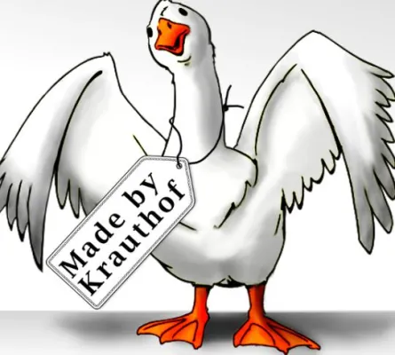 Bild: Grüne Ampel für Gans on Tour in Ludwigsburg