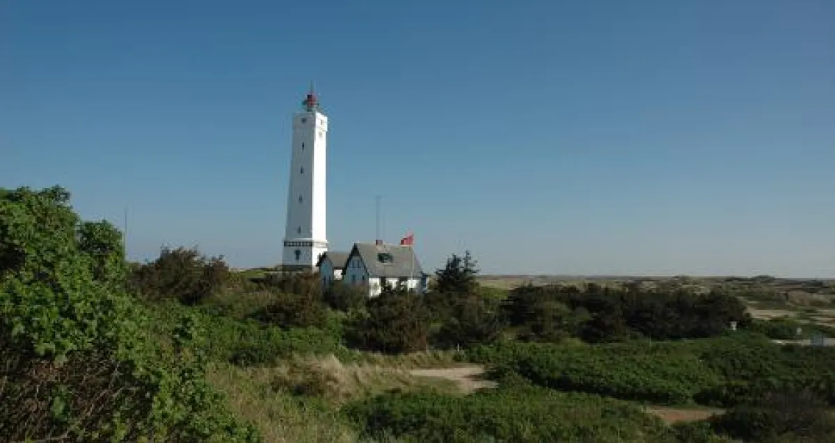 Blaavandshuk