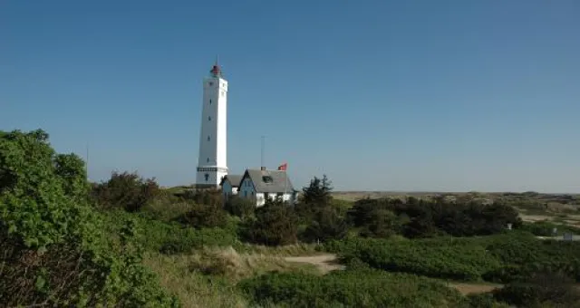 Bild: Blåvand - Urlaub in Dänemarks wildem Westen