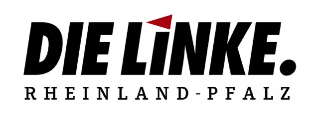 Bild: LINKE wählt neuen Landesvorstand
