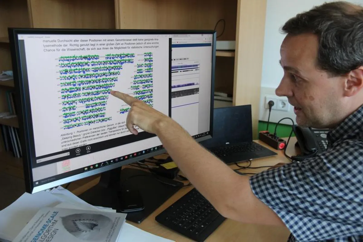 Viren sind an unterschiedlichen Stellen in das Erbgut des Menschen eingedrungen. Ihre Positionen werden in einer Übersichtsgrafik als kleine grüne und blaue Dreiecke dargestellt. ( Armin Eikenberg/TH