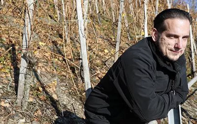 Bild: Weingut Günther Steinmetz: Frische Ideen und alte Weinbautraditionen