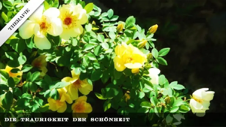 Bild: Traurigkeit und Schönheit