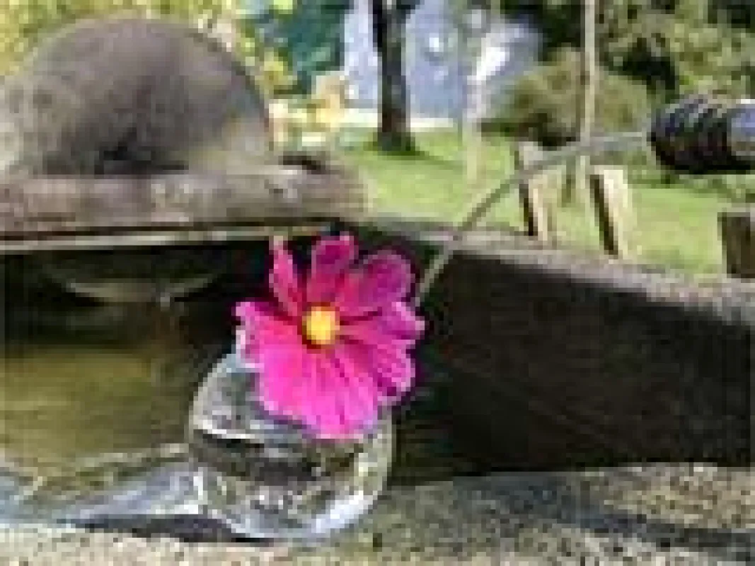 Natur und Wellness