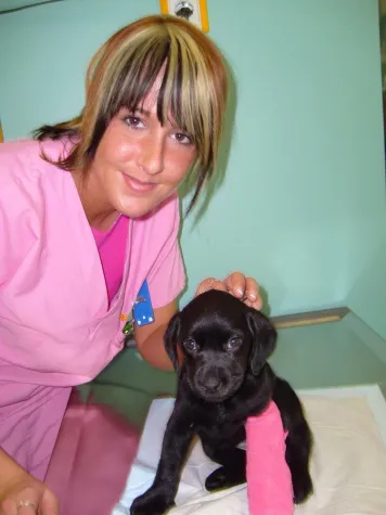 Bild: Tierärztliche Versorgung in Gelsenkirchen jetzt bis in die Nacht, an Wochenenden und Feiertagen.