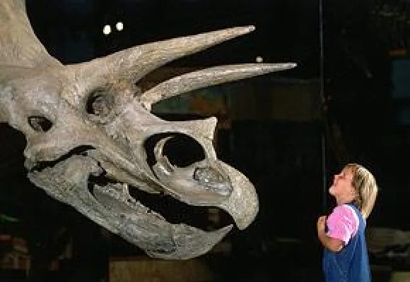 Urlaub mit der Familie – Vorschläge für ungewöhnliche Sommerferien 2007 Bild: Urlaub mit der Familie – Vorschläge für ungewöhnliche Sommerferien 2007