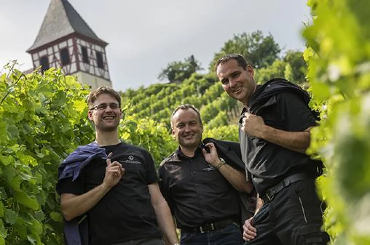 Das Dreier-Führungsteam der Weingärtner Cleebronn & Güglingen