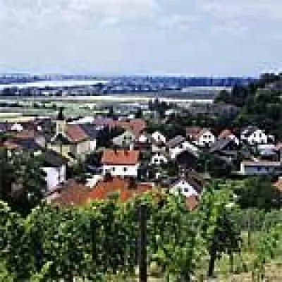 Bild: Weinbaugebiet im bayerischen Jura in Deutschland