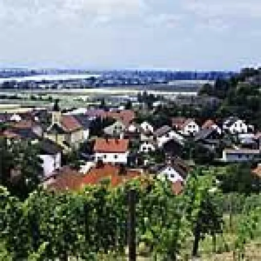 Bild: Weinbaugebiet im bayerischen Jura in Deutschland