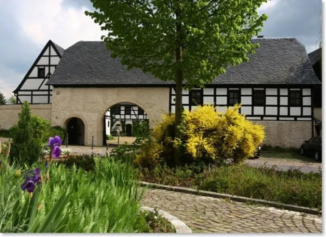 Bild: Mit allen Sinnen