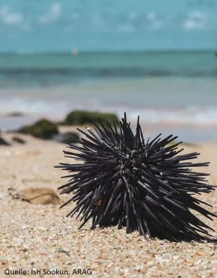 Bild: Krank im Urlaub? Gut versichert verreisen