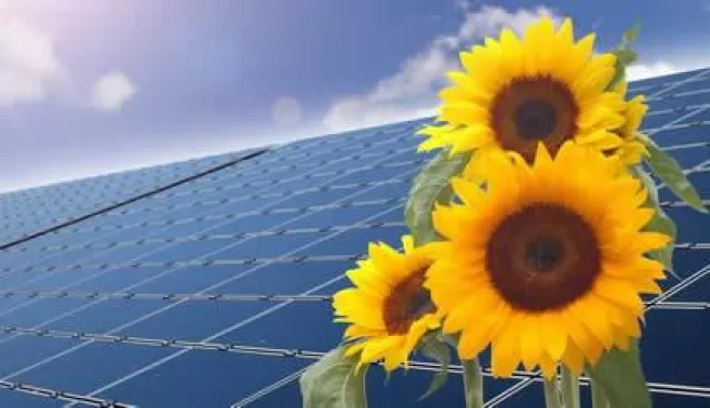 Ist der ideale Zeitpunkt für Photovoltaik JETZT? Bild: Ist der ideale Zeitpunkt für Photovoltaik JETZT?