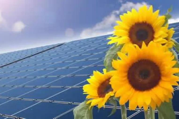 Bild: Ist der ideale Zeitpunkt für Photovoltaik JETZT?