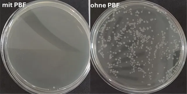 Bild: Chemikalienfreie Desinfektion durch Plasma-Technologie 