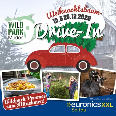 Bild: TANNENBAUM DRIVE-IN im Wildpark Müden am 19.& 20.12.2020.
