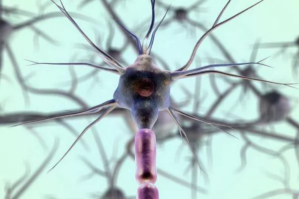 Bild: Spinal Cord Stimulation (SCS), eine bewährte Alternative zur Bandscheiben Operation