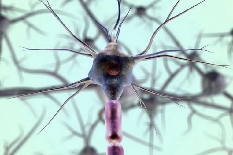 Bild: Spinal Cord Stimulation (SCS), eine bewährte Alternative zur Bandscheiben Operation